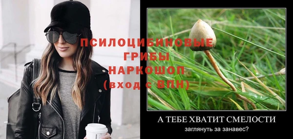 эйфоретик Костерёво