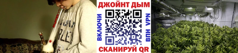 Шишки марихуана план Краснокаменск